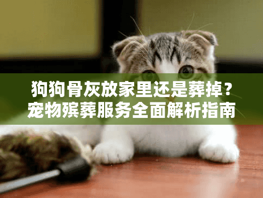 狗狗骨灰放家里还是葬掉？宠物殡葬服务全面解析指南