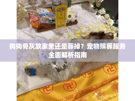 狗狗骨灰放家里还是葬掉？宠物殡葬服务全面解析指南