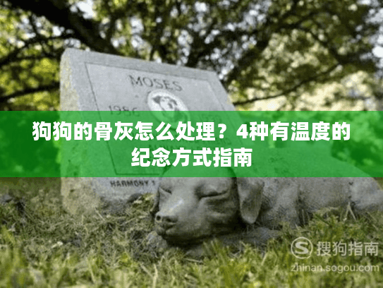 狗狗的骨灰怎么处理？4种有温度的纪念方式指南