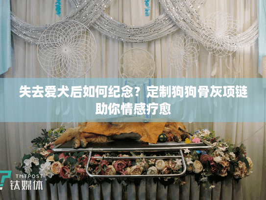 失去爱犬后如何纪念？定制狗狗骨灰项链助你情感疗愈
