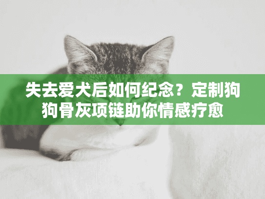 失去爱犬后如何纪念？定制狗狗骨灰项链助你情感疗愈