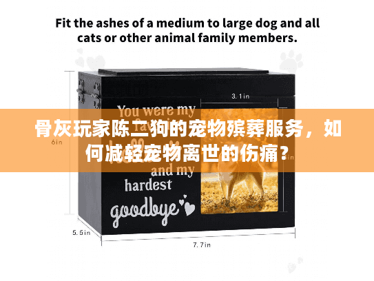 骨灰玩家陈二狗的宠物殡葬服务，如何减轻宠物离世的伤痛？