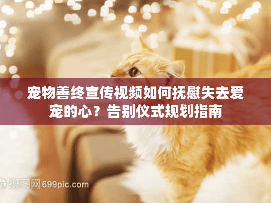 宠物善终宣传视频如何抚慰失去爱宠的心？告别仪式规划指南