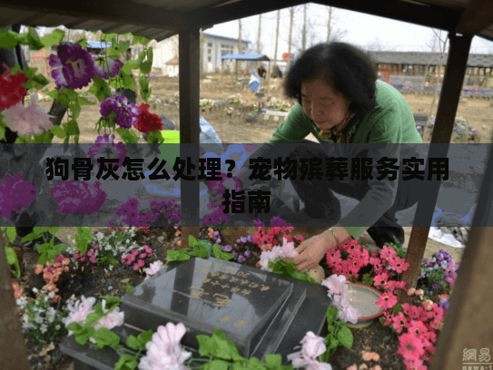 狗骨灰怎么处理？宠物殡葬服务实用指南