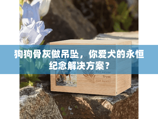 狗狗骨灰做吊坠，你爱犬的永恒纪念解决方案？