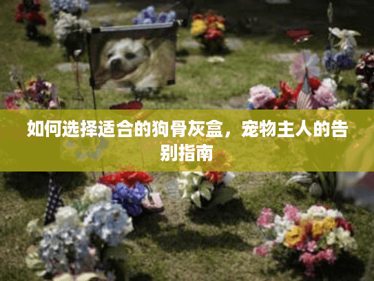 如何选择适合的狗骨灰盒，宠物主人的告别指南
