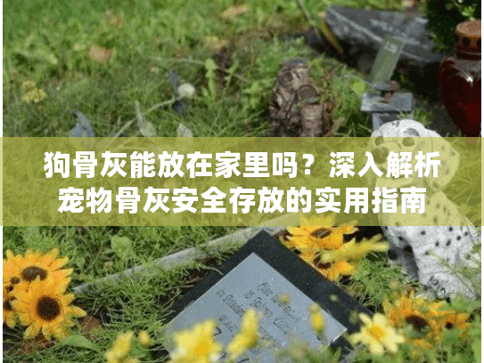狗骨灰能放在家里吗？深入解析宠物骨灰安全存放的实用指南