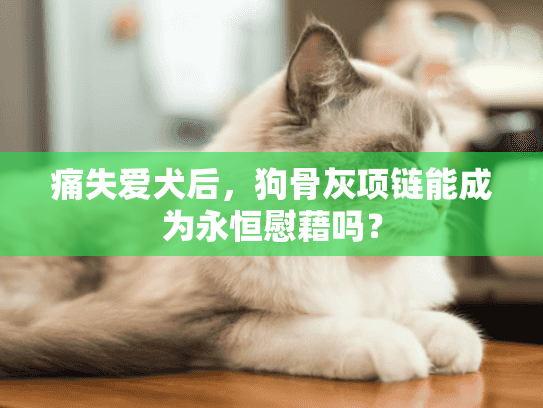痛失爱犬后，狗骨灰项链能成为永恒慰藉吗？