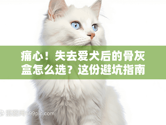 痛心！失去爱犬后的骨灰盒怎么选？这份避坑指南请收好
