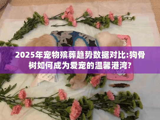 2025年宠物殡葬趋势数据对比:狗骨树如何成为爱宠的温馨港湾?