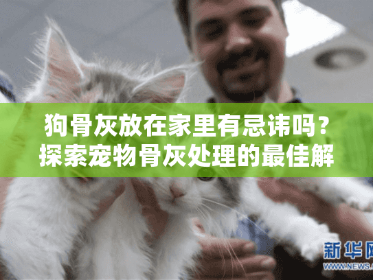 狗骨灰放在家里有忌讳吗？探索宠物骨灰处理的最佳解决方案