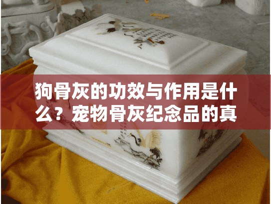 狗骨灰的功效与作用是什么？宠物骨灰纪念品的真实益处揭秘
