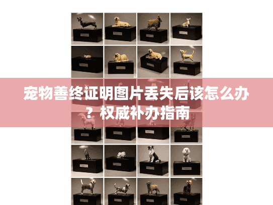 宠物善终证明图片丢失后该怎么办？权威补办指南