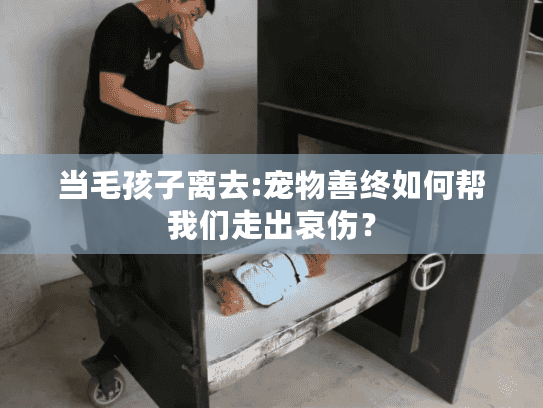 当毛孩子离去:宠物善终如何帮我们走出哀伤？