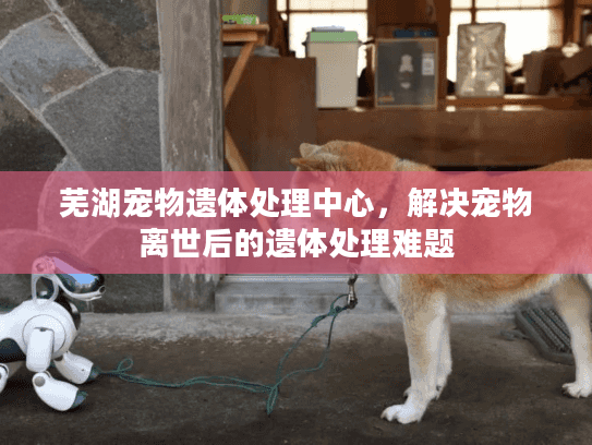 芜湖宠物遗体处理中心，解决宠物离世后的遗体处理难题