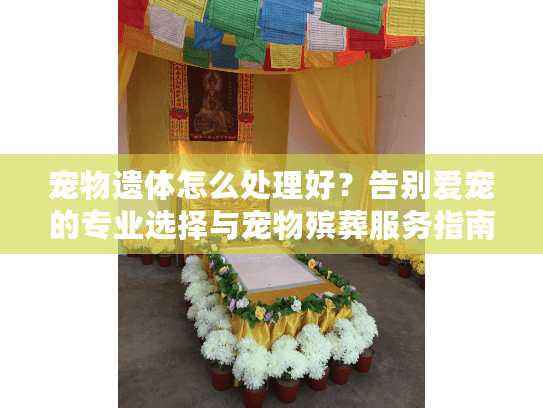 宠物遗体怎么处理好？告别爱宠的专业选择与宠物殡葬服务指南