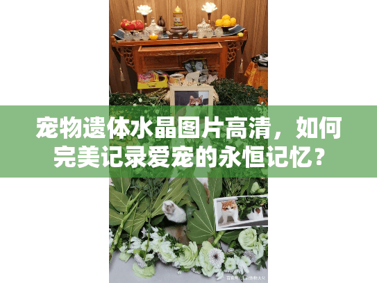 宠物遗体水晶图片高清，如何完美记录爱宠的永恒记忆？