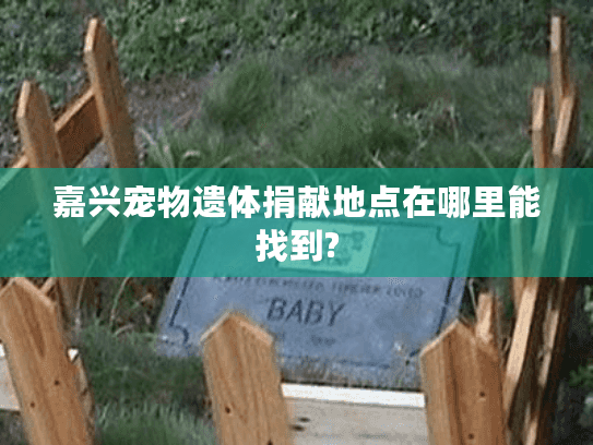 嘉兴宠物遗体捐献地点在哪里能找到?