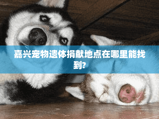 嘉兴宠物遗体捐献地点在哪里能找到?