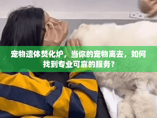 宠物遗体焚化炉，当你的宠物离去，如何找到专业可靠的服务？