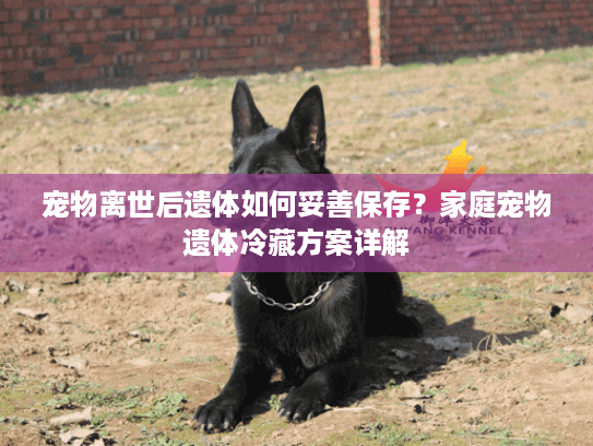 宠物离世后遗体如何妥善保存？家庭宠物遗体冷藏方案详解