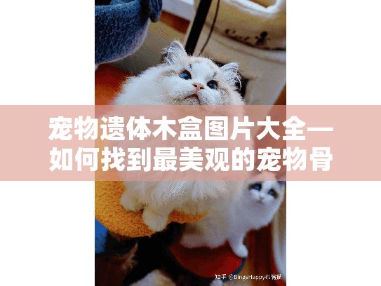 宠物遗体木盒图片大全—如何找到最美观的宠物骨灰盒选择?
