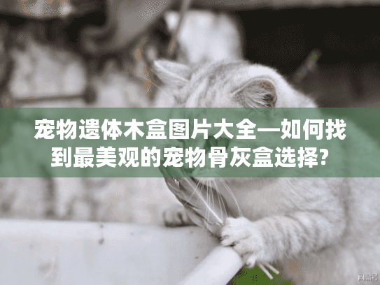 宠物遗体木盒图片大全—如何找到最美观的宠物骨灰盒选择?
