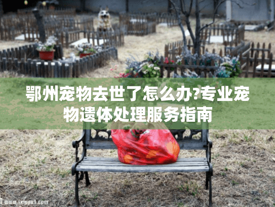 鄂州宠物去世了怎么办?专业宠物遗体处理服务指南