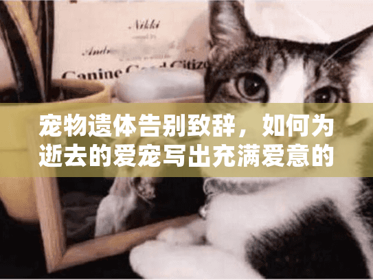 宠物遗体告别致辞，如何为逝去的爱宠写出充满爱意的最后告别？