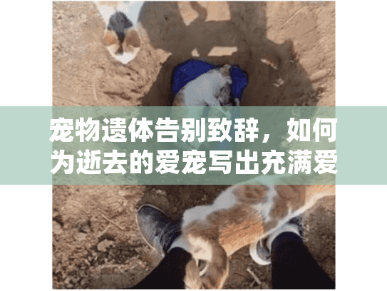 宠物遗体告别致辞，如何为逝去的爱宠写出充满爱意的最后告别？