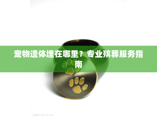 宠物遗体埋在哪里？专业殡葬服务指南