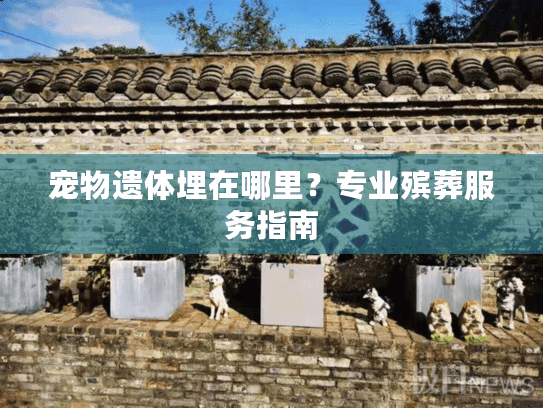 宠物遗体埋在哪里？专业殡葬服务指南