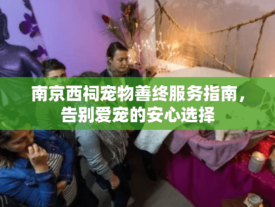 南京西祠宠物善终服务指南，告别爱宠的安心选择