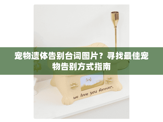 宠物遗体告别台词图片？寻找最佳宠物告别方式指南