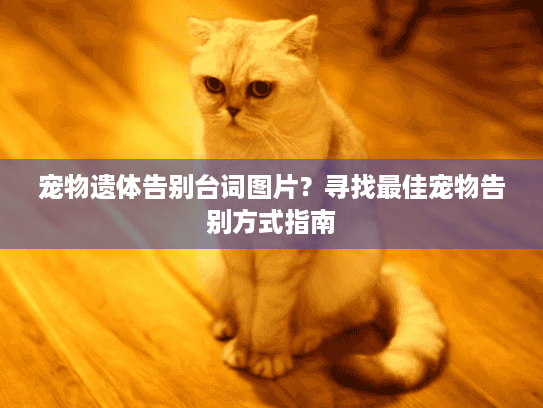宠物遗体告别台词图片？寻找最佳宠物告别方式指南