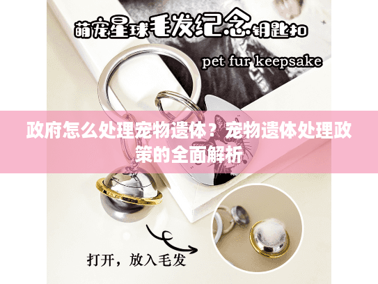 政府怎么处理宠物遗体？宠物遗体处理政策的全面解析