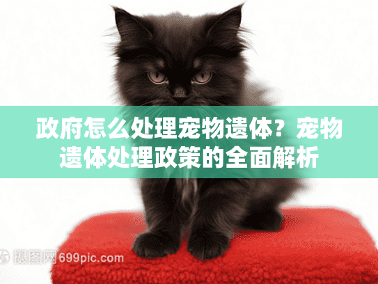 政府怎么处理宠物遗体？宠物遗体处理政策的全面解析