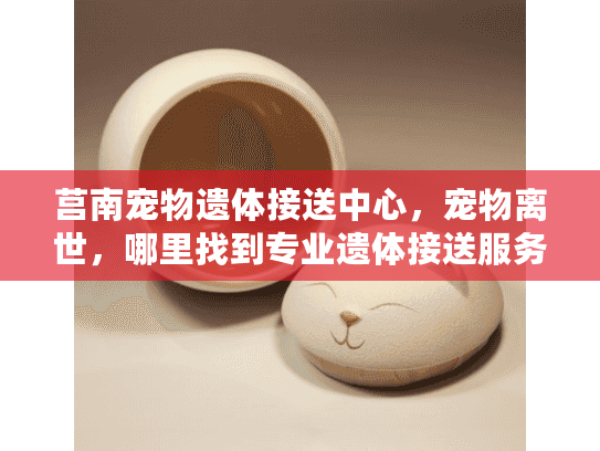 莒南宠物遗体接送中心，宠物离世，哪里找到专业遗体接送服务？
