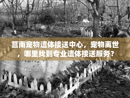 莒南宠物遗体接送中心，宠物离世，哪里找到专业遗体接送服务？