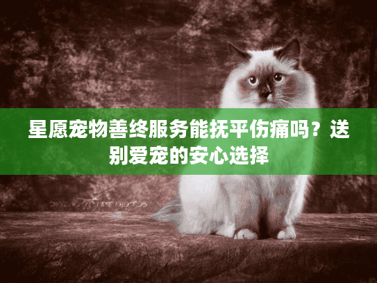 星愿宠物善终服务能抚平伤痛吗？送别爱宠的安心选择