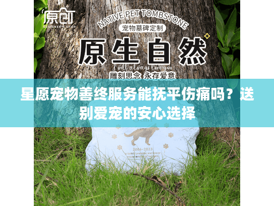 星愿宠物善终服务能抚平伤痛吗？送别爱宠的安心选择