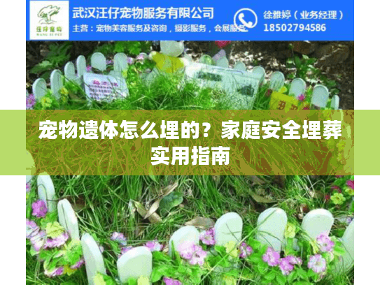 宠物遗体怎么埋的？家庭安全埋葬实用指南