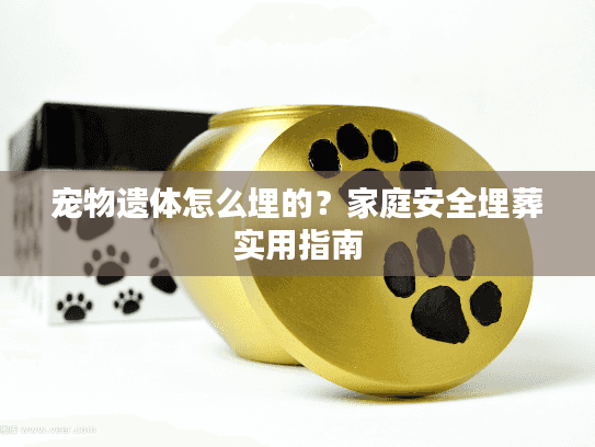 宠物遗体怎么埋的？家庭安全埋葬实用指南