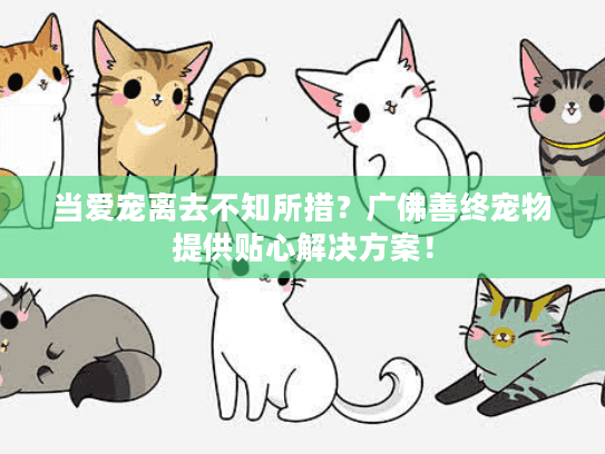 当爱宠离去不知所措？广佛善终宠物提供贴心解决方案！