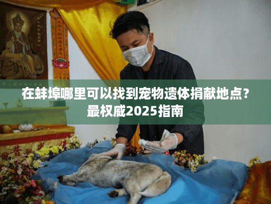 在蚌埠哪里可以找到宠物遗体捐献地点?最权威2025指南 在蚌埠哪里可以找到宠物遗体捐献地点?最权威2025指南