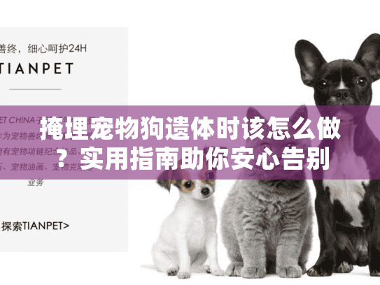 掩埋宠物狗遗体时该怎么做？实用指南助你安心告别