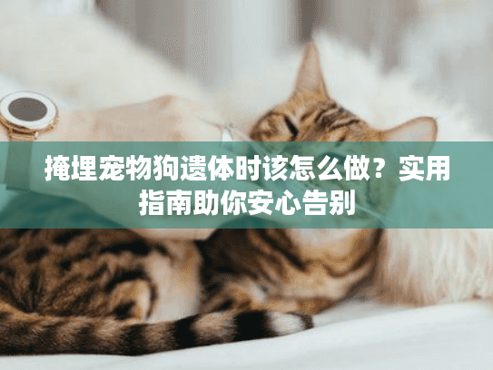 掩埋宠物狗遗体时该怎么做？实用指南助你安心告别