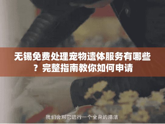 无锡免费处理宠物遗体服务有哪些？完整指南教你如何申请
