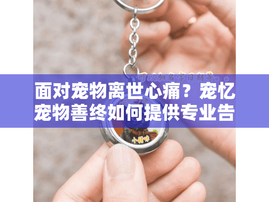 面对宠物离世心痛？宠忆宠物善终如何提供专业告别服务