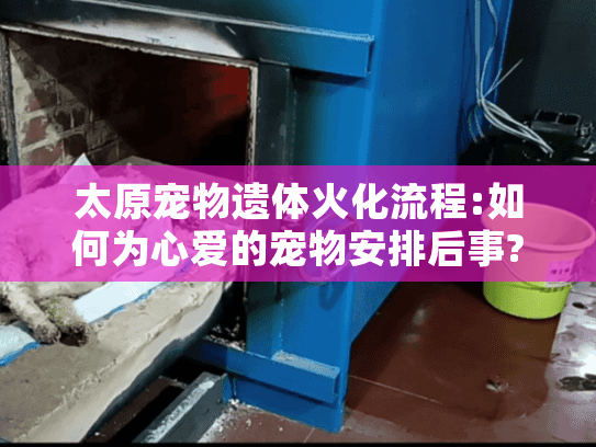 太原宠物遗体火化流程:如何为心爱的宠物安排后事?
